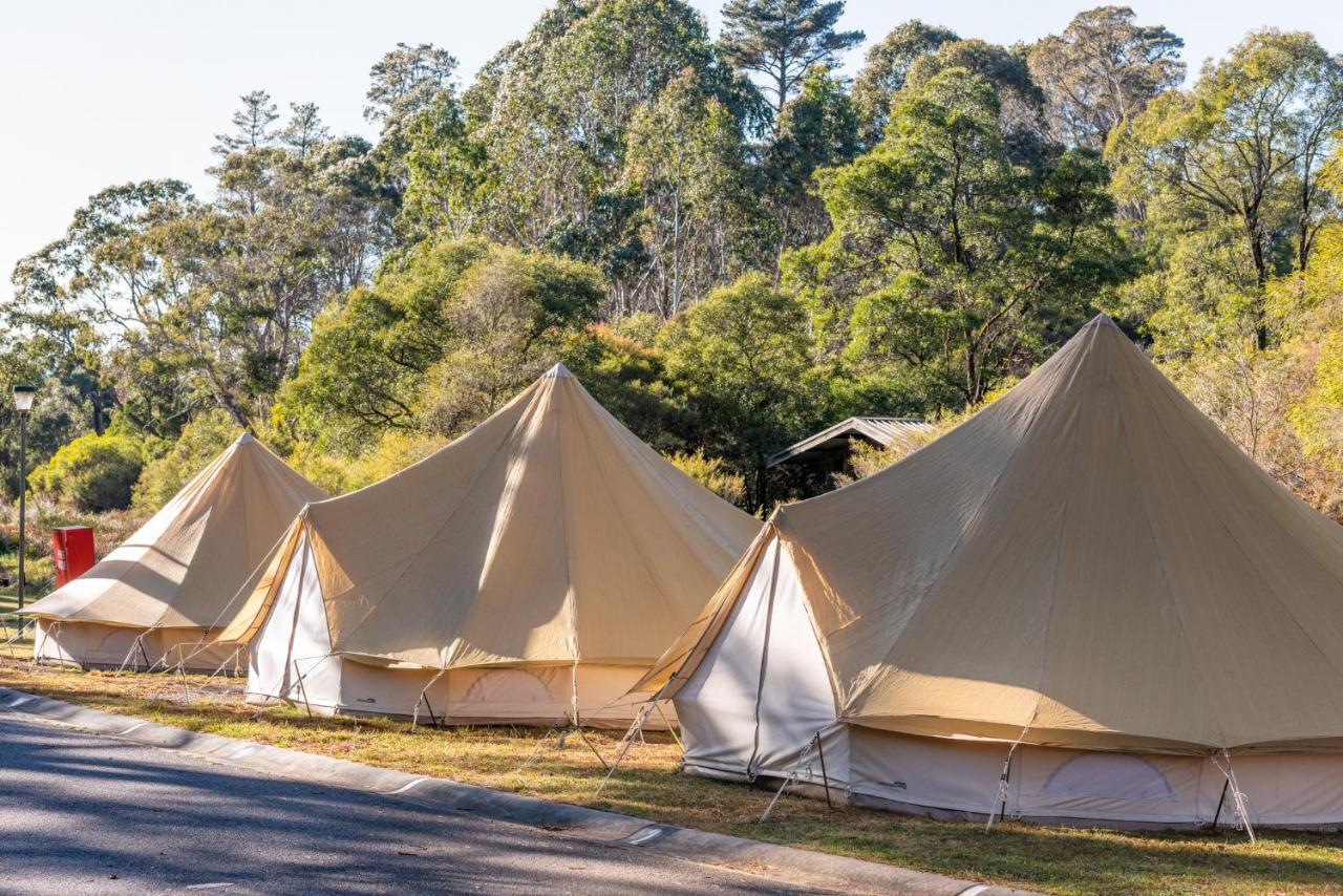 Glen Tourist Park Blackheath